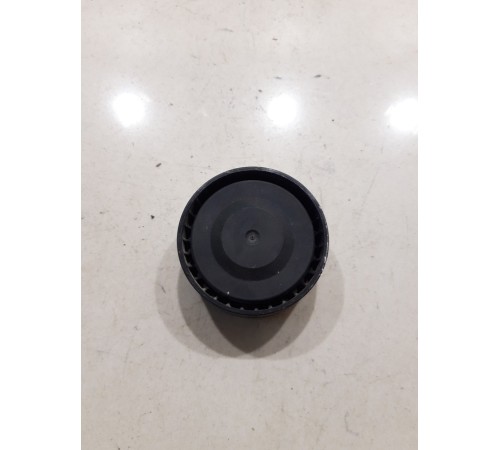 Ролик натяжителя