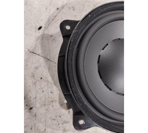 Динамик двери (задний правый)