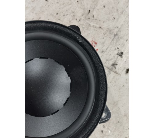 Динамик двери (задний правый)