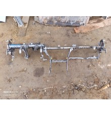 Скелет торпедо