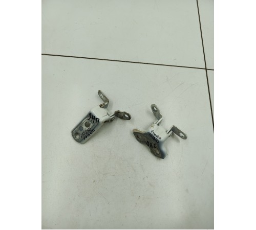 Петли задней правой двери