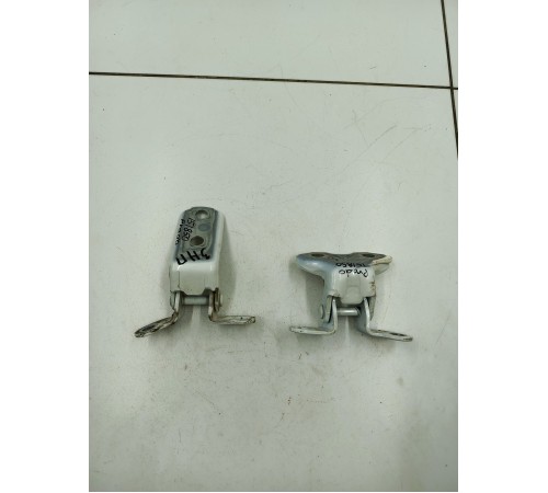 Петли задней правой двери