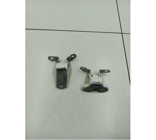 Петли задней правой двери