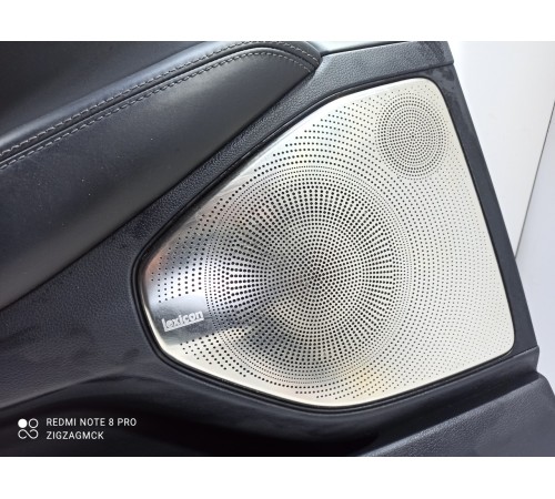 Обшивка двери (задняя левая)