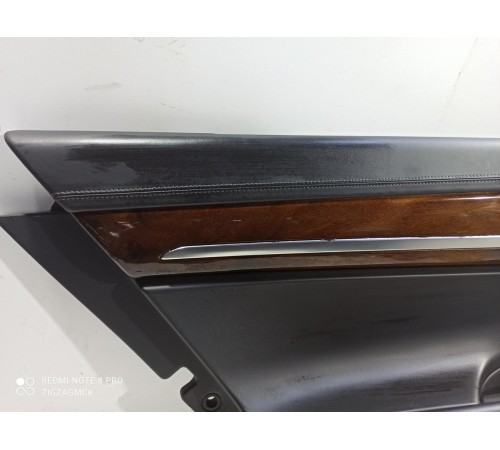 Обшивка двери (задняя левая)