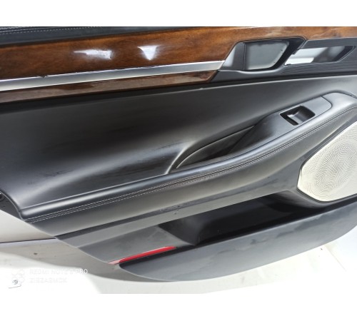 Обшивка двери (задняя левая)