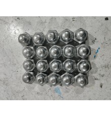 Комплект колесных гаек (20 шт.)