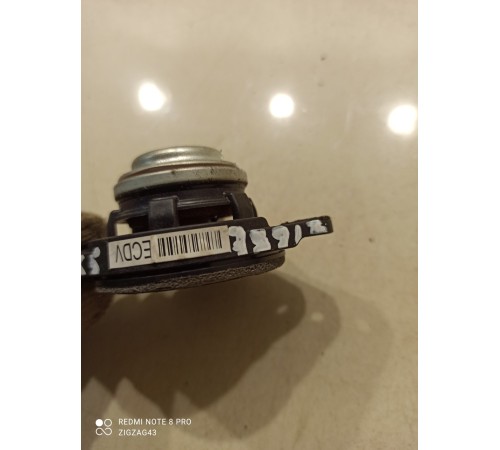 Динамик торпедо