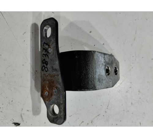 Петля двери(задняя левая нижняя)