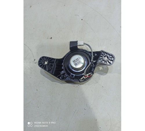 Динамик задний левый