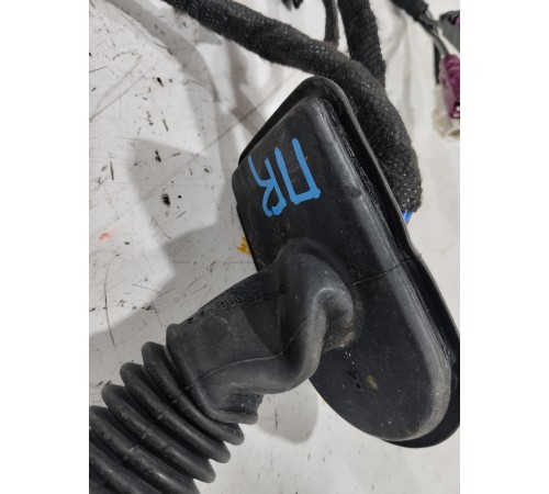 Электропроводка двигателя передняя правая