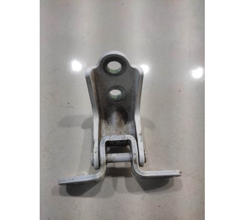 Петля двери(задняя левая нижняя)