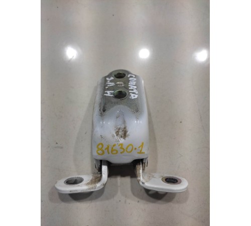 Петля двери(задняя левая нижняя)