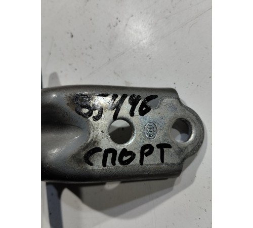 Петля двери(задняя левая нижняя)