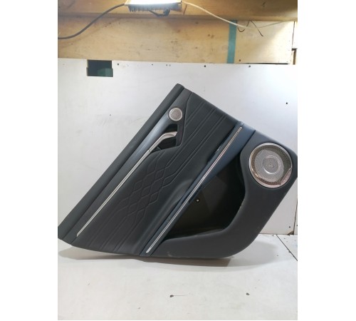 Обшивка двери задняя левая