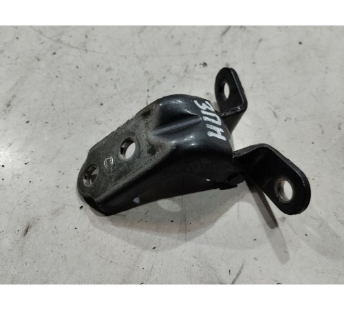 Петля двери(задняя правая нижняя)