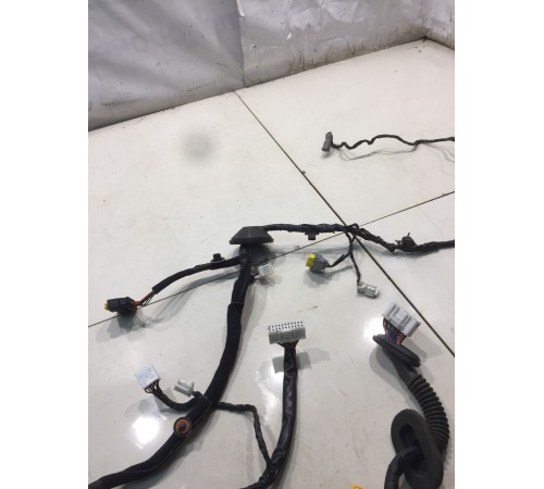 Электропроводка двери (задняя, левая)
