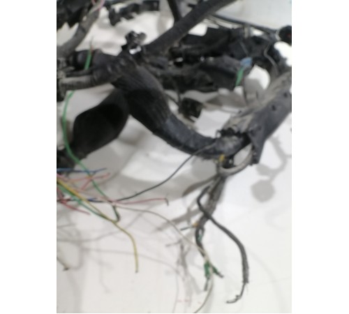 Электропроводка моторная