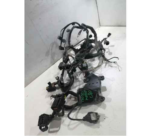 Электропроводка моторная