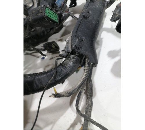 Электропроводка моторная