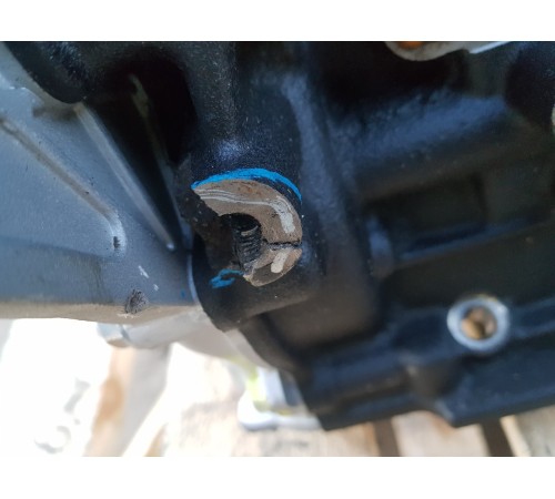 Двигатель в сборе