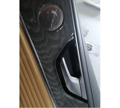 Обшивка двери задняя правая