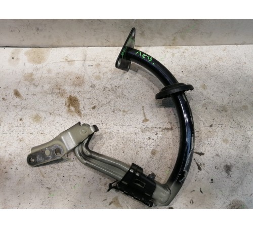 Петля двери/крышки багажника левая