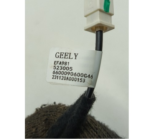 Антенна (плавник)