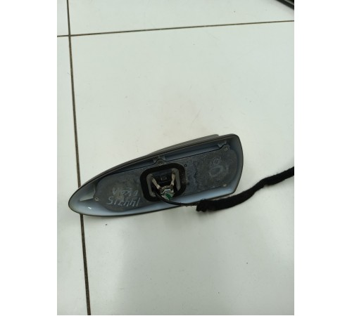 Антенна (плавник)