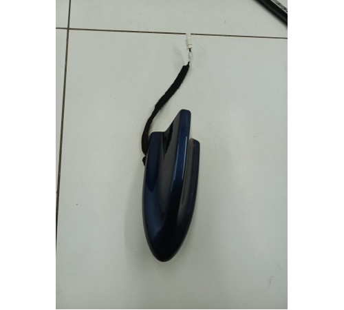 Антенна (плавник)