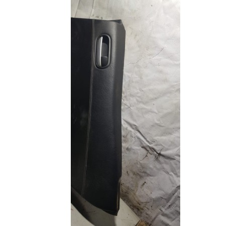 Обшивка двери (Задняя левая)