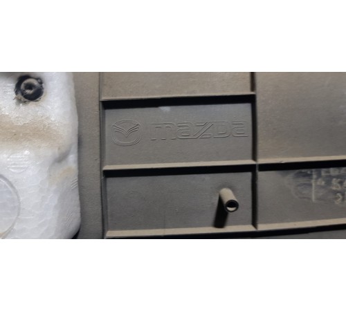 Обшивка двери (Задняя левая)