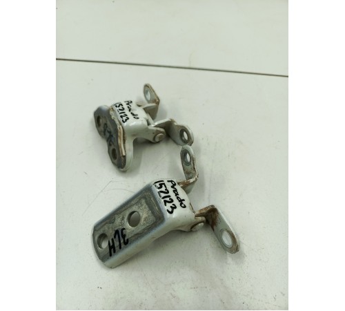 Петли двери задние левые