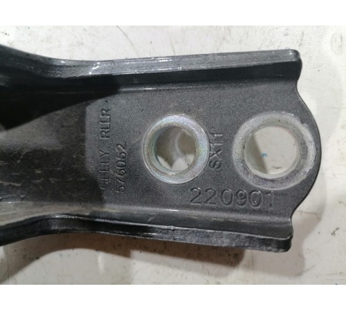 Петля двери задняя правая нижняя