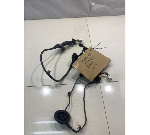 Электропроводка двери (задняя, правая)