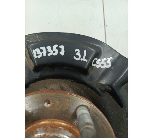 Кулак задний левый