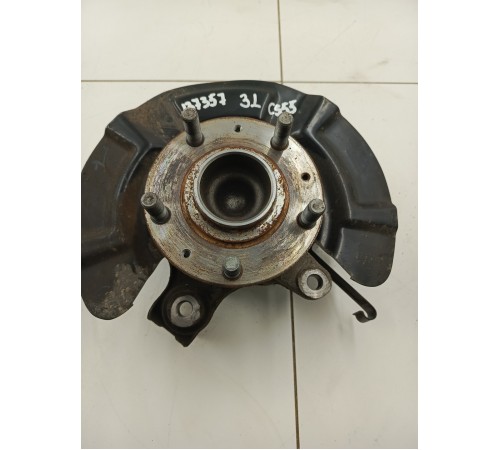 Кулак задний левый