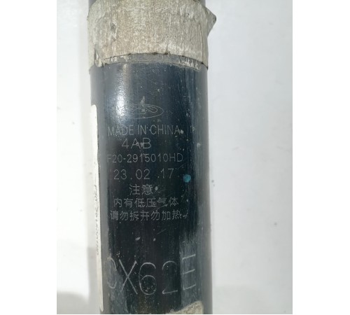 Амортизатор (задний,