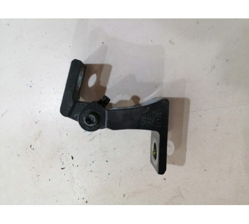 Петля двери задняя левая верхняя