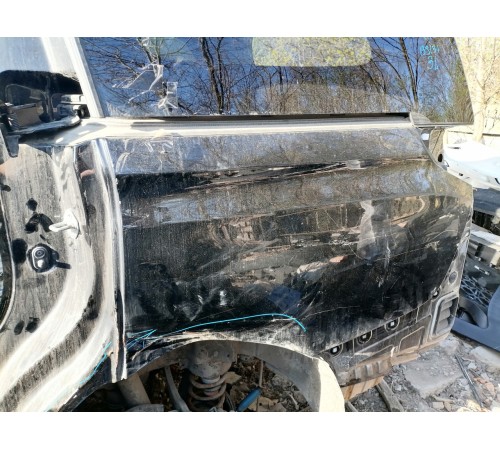 Крыло (заднее, левое)