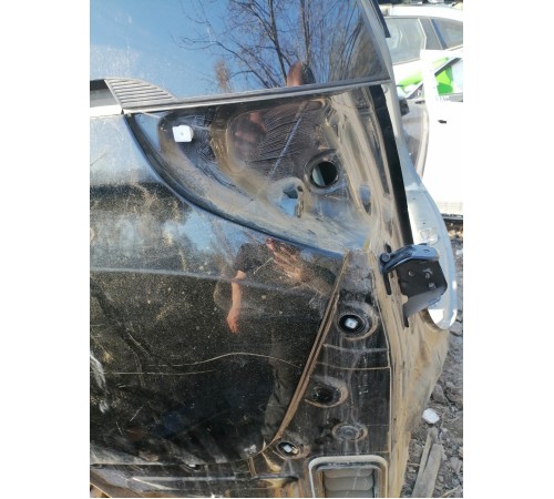 Крыло (заднее, левое)