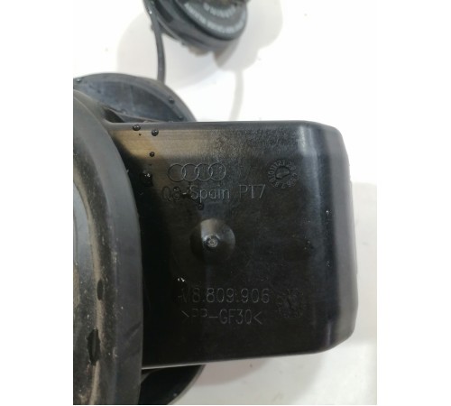 Лючок бензобака в сборе