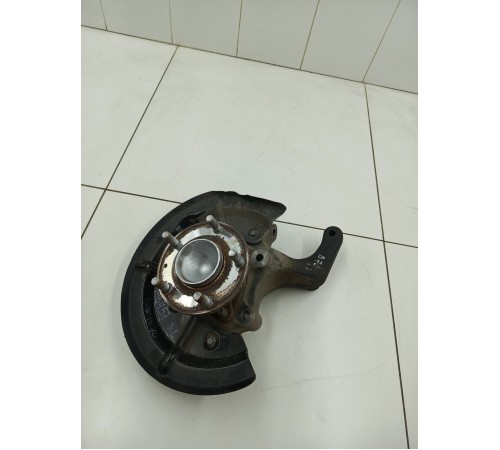 Кулак задний левый