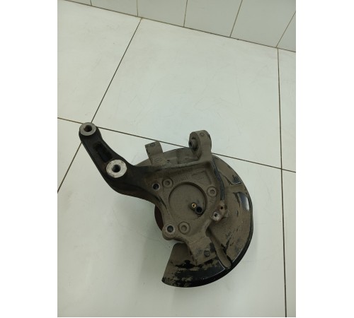 Кулак задний левый