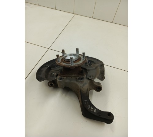 Кулак задний левый