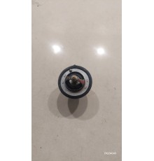 Термоэлемент термостата