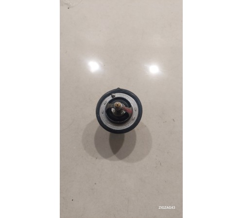 Термоэлемент термостата