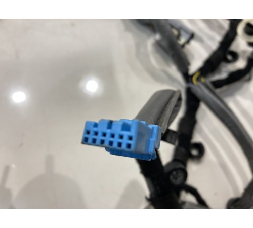 Электропроводка двери (передняя, правая)