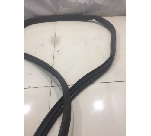 Уплотнитель двери (задний, правый)