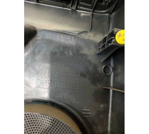 Обшивка двери задней правой